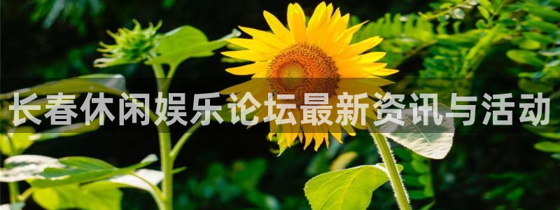 泰达娱乐集团：长春休闲娱乐论坛最新资讯与活动