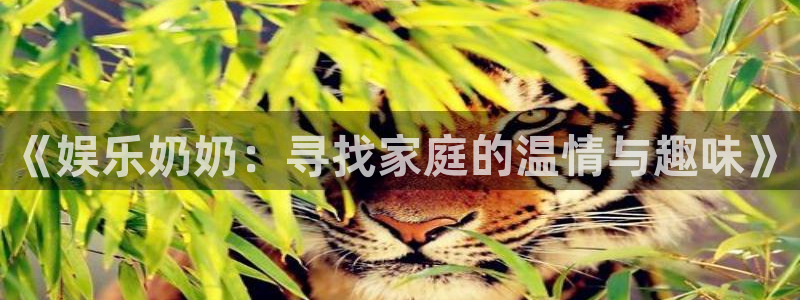 泰达娱乐体育代理：《娱乐奶奶：寻找家庭的温情与趣味》