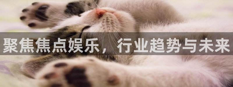 泰达娱乐4官网