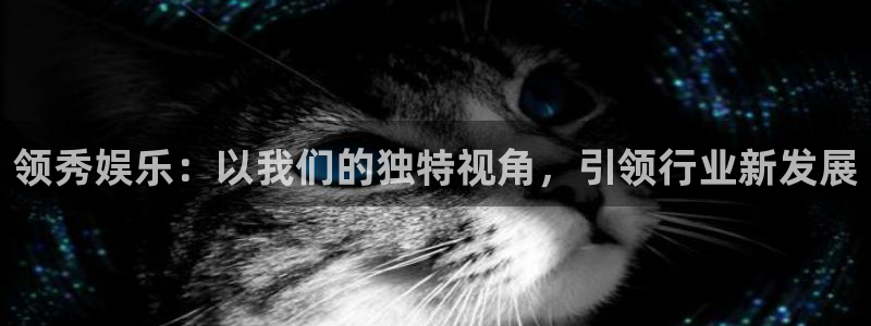 泰达娱乐有梦你就来：领秀娱乐：以我们的独特视角，引领行业新发展