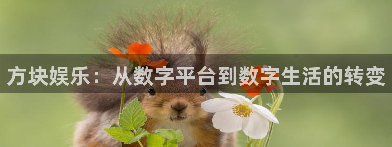 东莞市泰达娱乐电子科技有限公司