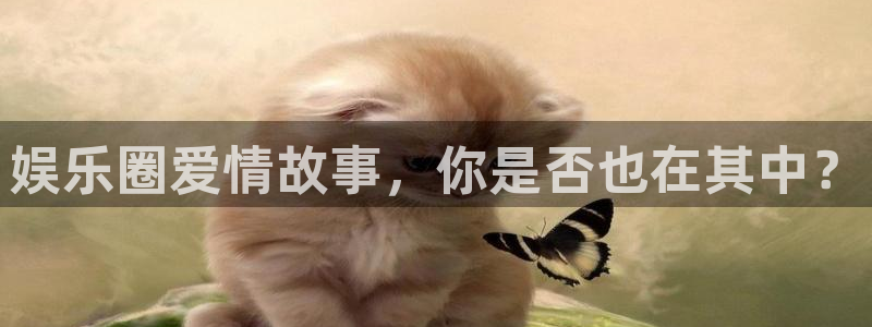 泰达娱乐4：娱乐圈爱情故事，你是否也在其中？