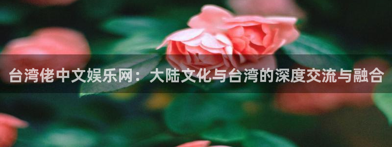泰达娱乐怎么下载