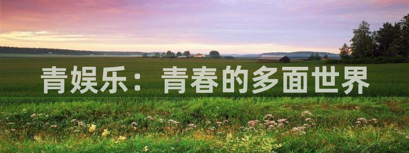 泰达娱乐集团股票：青娱乐：青春的多面世界