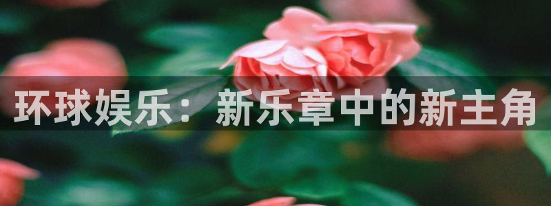 泰达娱乐网页版登：环球娱乐：新乐章中的新主角
