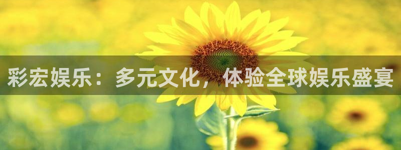 泰达娱乐3平台登录注册：彩宏娱乐：多元文化，体验全球娱乐盛宴