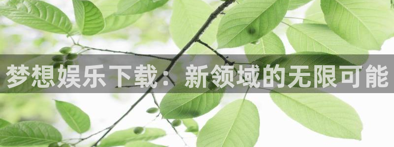 泰达娱乐在线下载：梦想娱乐下载：新领域的无限可能