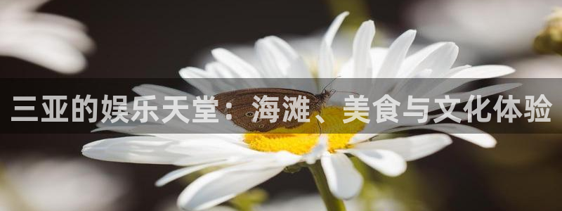 泰达娱乐app：三亚的娱乐天堂：海滩、美食与文化体验