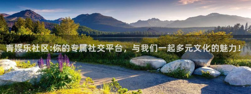 泰达娱乐注册网站链接：青娱乐社区:你的专属社交平台，与我们一起多元文化的魅力！