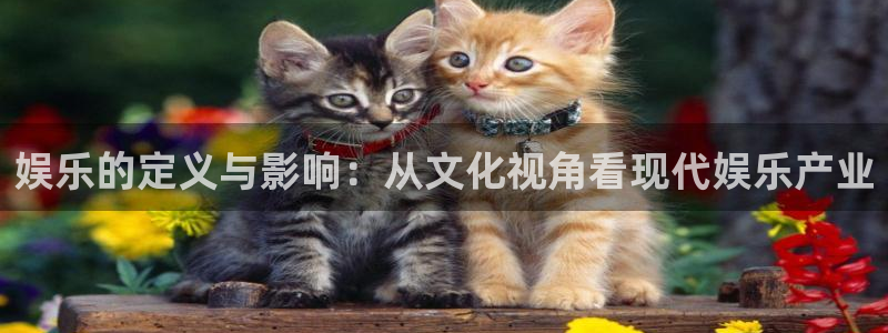泰达娱乐招商：娱乐的定义与影响：从文化视角看现代娱乐产业