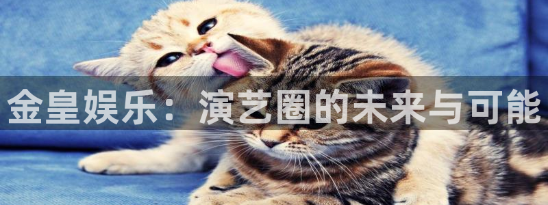 泰达娱乐ccm麻将胡了：金皇娱乐：演艺圈的未来与可能
