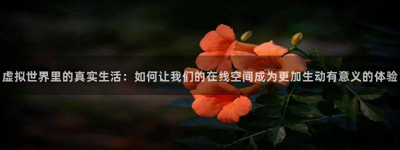 泰达娱乐是赌博吗：虚拟世界里的真实生活：如何让我们的在线空间成为更加生动有意义的体验