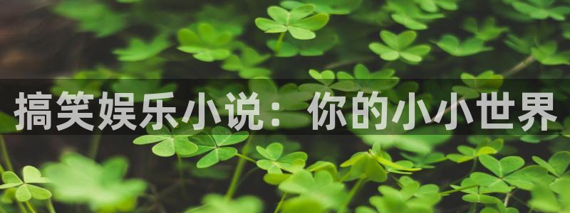 泰达娱乐下载入口：搞笑娱乐小说：你的小小世界