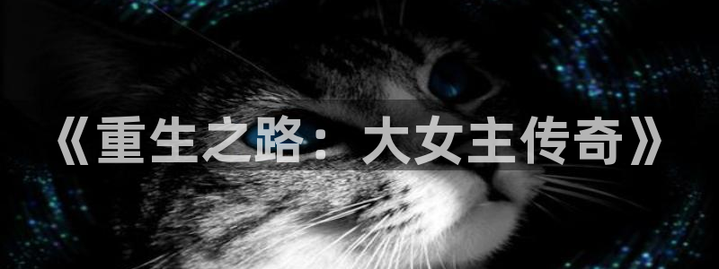 泰达娱乐注册网站app：《重生之路：大女主传奇》