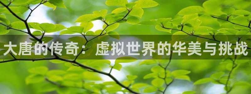 泰达娱乐下载官网入口在哪：大唐的传奇：虚拟世界的华美与挑战