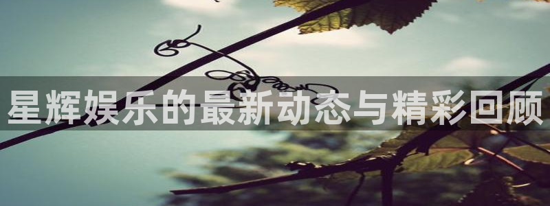泰达娱乐注册官网入口：星辉娱乐的最新动态与精彩回顾