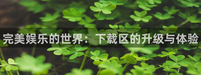 泰达娱乐游戏官网版：完美娱乐的世界：下载区的升级与体验