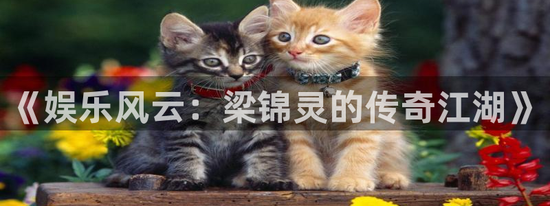 泰达娱乐分红代理计划：《娱乐风云：梁锦灵的传奇江湖》