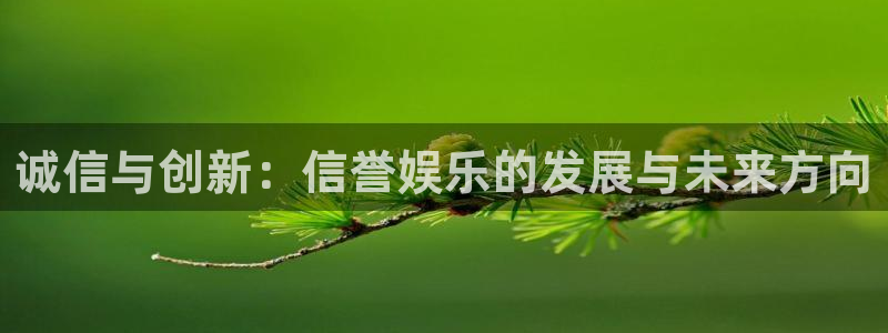 泰达娱乐ccm赏金女王：诚信与创新：信誉娱乐的发展与未来方向