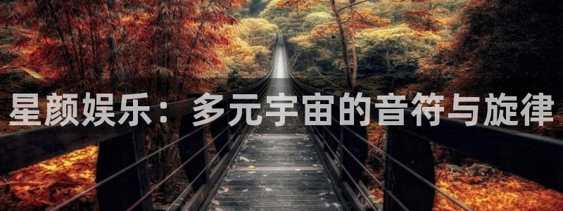 泰达娱乐2注册：星颜娱乐：多元宇宙的音符与旋律