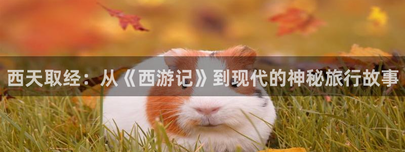 泰达娱乐app哪个模式容易赢：西天取经：从《西游记》到现代的神秘旅行故事