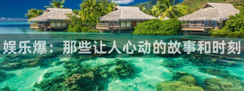 泰达娱乐.ccm官网版：娱乐爆：那些让人心动的故事和时刻