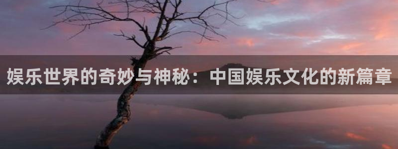 泰达娱乐凯捷平台：娱乐世界的奇妙与神秘：中国娱乐文化的新篇章