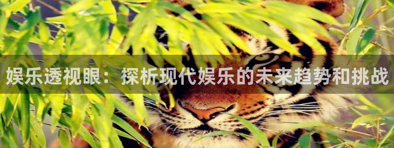 泰达娱乐登录界面入口：娱乐透视眼：探析现代娱乐的未来趋势和挑战