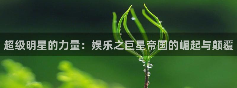 泰达娱乐电子游戏：超级明星的力量：娱乐之巨星帝国的崛起与颠覆