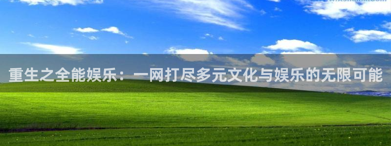 泰达娱乐电子有限公司：重生之全能娱乐：一网打尽多元文化与娱乐的无限可能